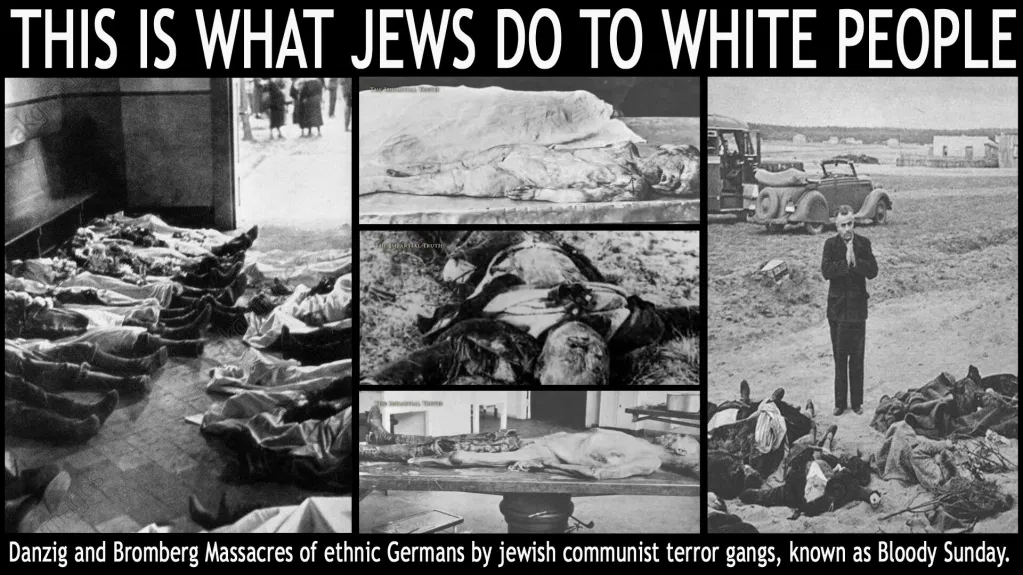 what jews do to White people holocaust WW2.webp