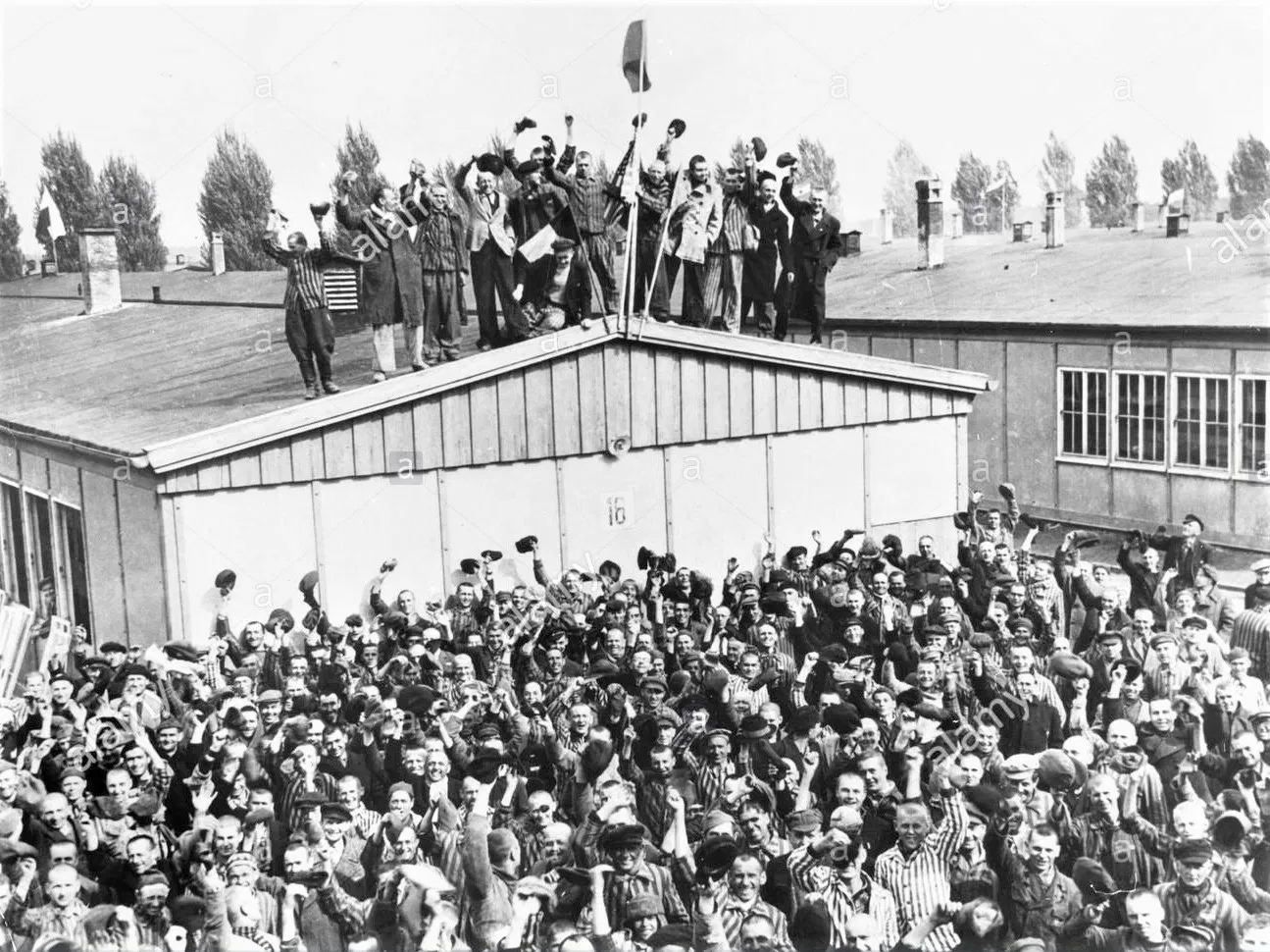 jews work camp party holocaust lies.webp